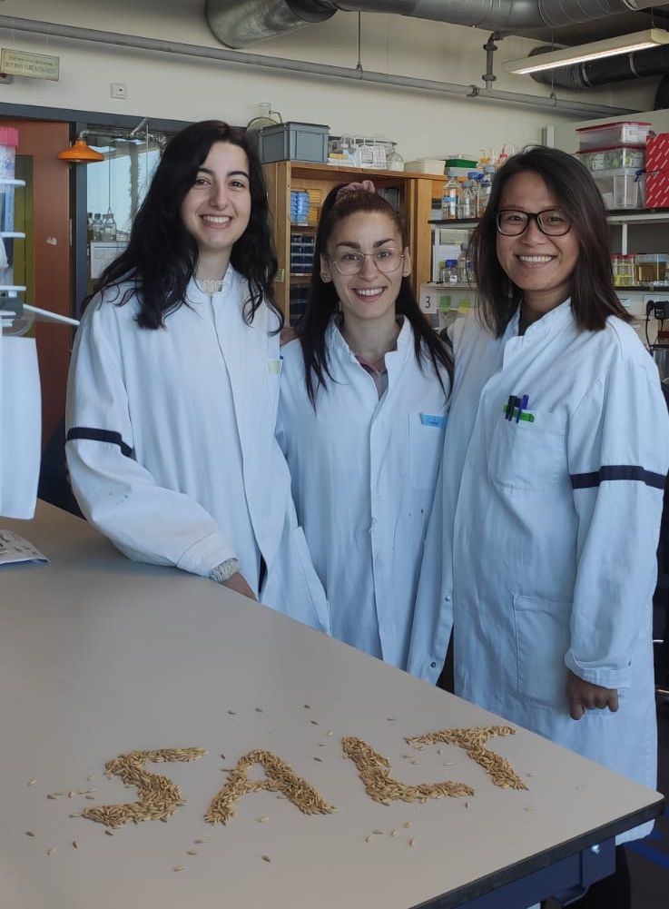 From left to right: Silvia Bugallo Alfageme, Pinelopi Kokkinopoulou and Shu-Hua Hsu; in lab coats posing in the lab with the word "salt" laid out in rice seeds.